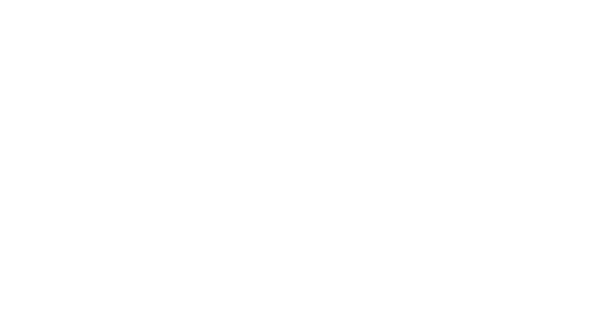 Aalborg-Universitet-logo hvid